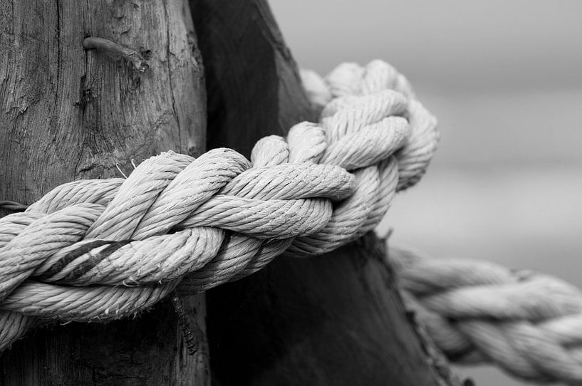 Hold on! Don't let go. by Margot van den Berg