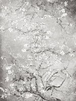 Almond blossom black and white