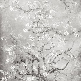 Almond blossom black and white by Evavisser