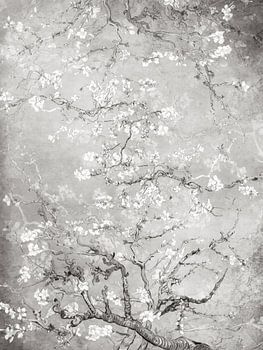 Fleur d'amandier noir et blanc