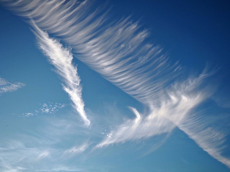 Des ailes dans le ciel par Loes