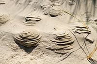 Natuurlijke zandsculpturen