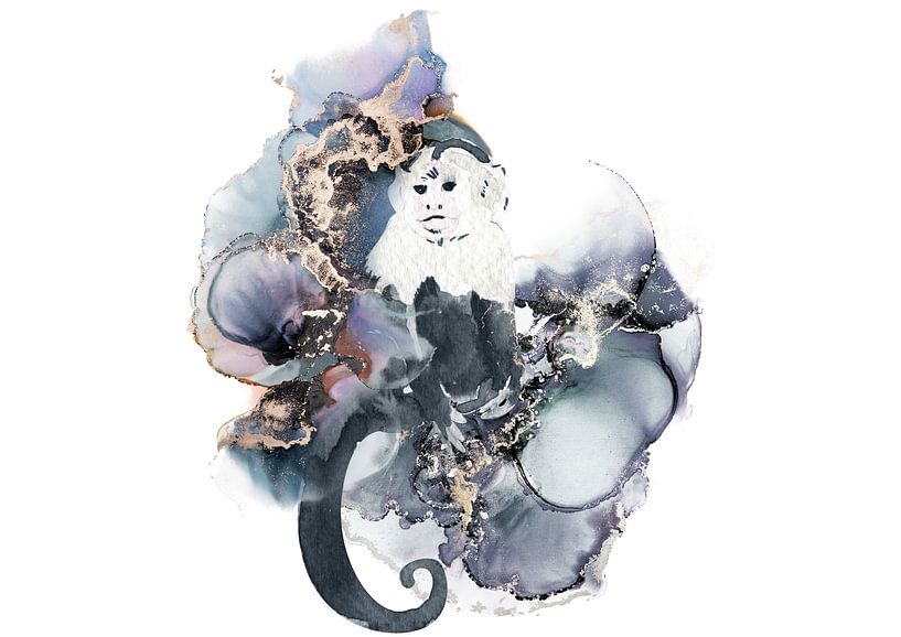 Singe capucin par Lucia