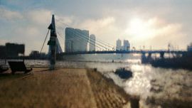 Late autumn day on the Meuse (Rotterdam)