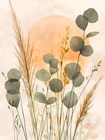 Eucalyptus at sunset