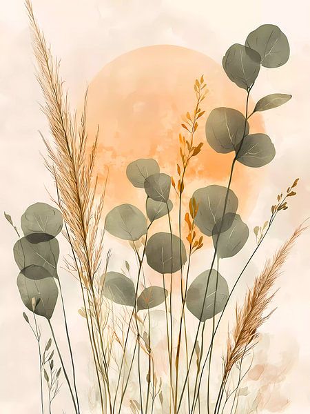 Eucalyptus bij zonsondergang van haroulita