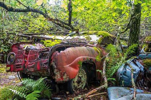 A red Saab 96 in Sweden, its natural surroundings
