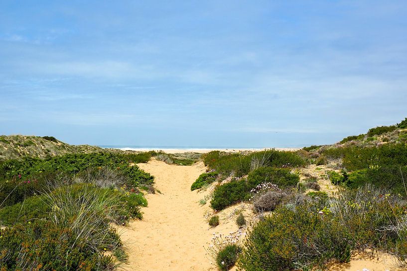 La liberté au bord de l'Atlantique 🌊🇵🇹 Le Fishermen's Trail - des falaises dorées, une mer d'un bleu profond et des étendues sans fin. par Miriam Schwarzfischer Fotografie