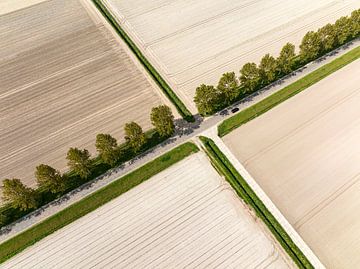Kruispunt in een landelijk landschap van bovenaf gezien van Sjoerd van der Wal Fotografie