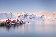 Norwegische rote Häuser von Charlotte Jalvingh Miniaturansicht