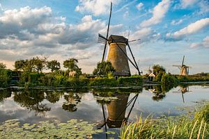 Moulins de Kinderdijk.