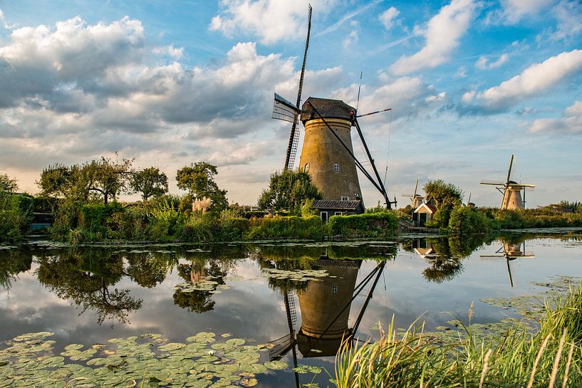 Moulins de Kinderdijk. par Ron van der Stappen