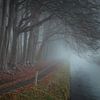 Arbres sombres, brouillard et eau sur KB Design & Photography (Karen Brouwer)