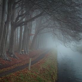 Stimmungsvolle Bäume, Nebel und Wasser von KB Design & Photography (Karen Brouwer)