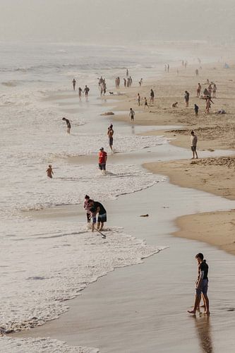 Am Rande des Wassers.