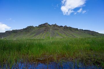 Islande - Ciel bleu sur des montagnes vertes couvertes de mousse derrière un paysage d'herbe sur adventure-photos