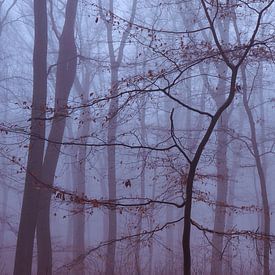 Minimalistische foto van een jonge boom in de mist van Epic Photography