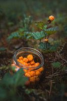 Cloudberries in glazen pot