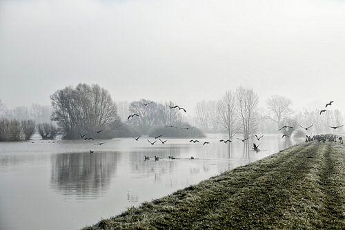 Landschap IJssel