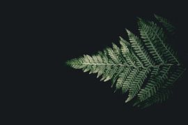 Blad van Myrthe Vlasveld