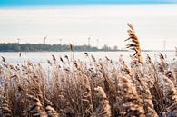 Schaatsen op het Eemmeer van Carina Calis thumbnail