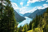 Uitzicht op de Plansee en de Tiroler Alpen van Leo Schindzielorz thumbnail