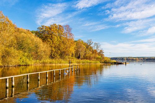 Loopbrug en bomen aan het Plau meer in de stad Plau am See van Rico Ködder
