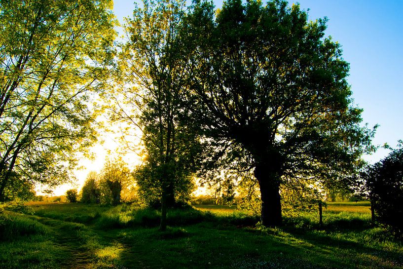 Lente par Lisette Breur