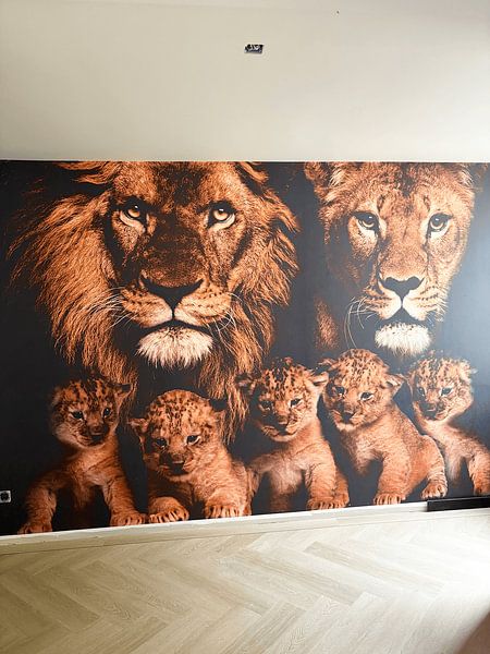 Customer photo: Lion family with 5 cubs by Bert Hooijer, as wallpaper