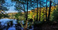 Hertasee im Nationalpark Jasmund von GH Foto & Artdesign Miniaturansicht