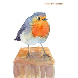 Een Robin volgt Vogel Haiku Nederlands van Karen Kaspar