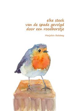 A Robin follows Vogel Haiku holländisch