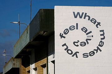 Lettering "What makes you feel alive?" on a wall by Lensw0rld