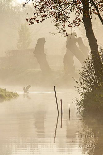 Landschap in de vroege morgen
