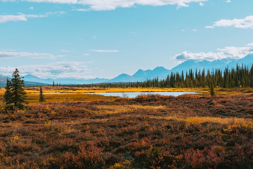 Parc national de Denali par Maikel Claassen Fotografie