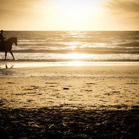 Paardrijden tijdens zonsondergang op het strand aan zee | Nederland |  van Diana van Neck Photography