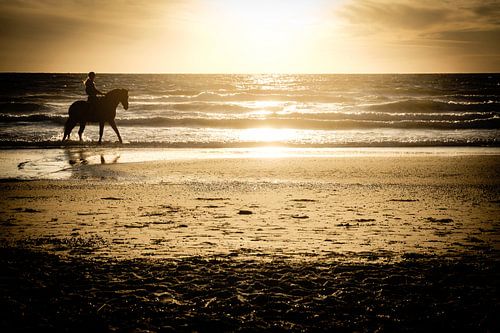 Paardrijden aan de kust tijdens zonsondergang | Nederland