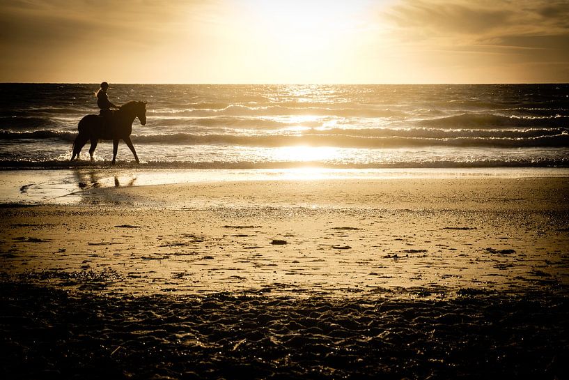 A Magical Moment: Horse riding on the Dutch Coast at Sunset by Diana van Neck Photography