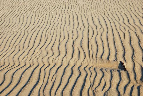 Duinen  Ameland