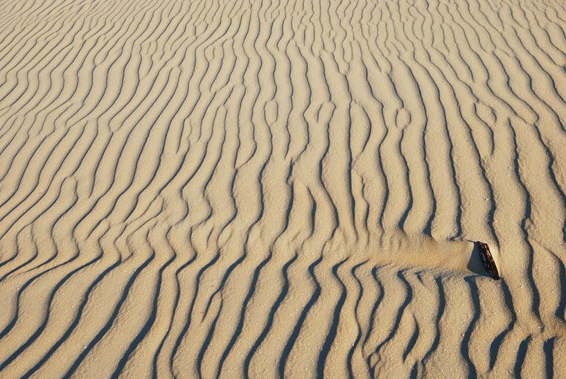 Duinen  Ameland von Rob van Wezema