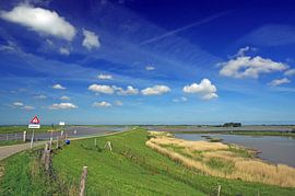 Oosterschelde National Park by Reinhard  Pantke