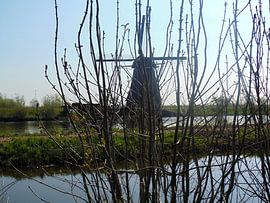 Doorkijk von Koos Iperen