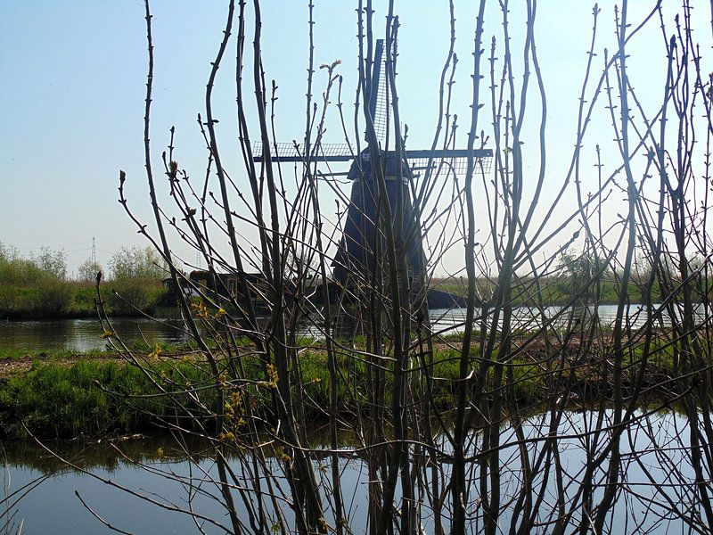 Doorkijk von Koos Iperen