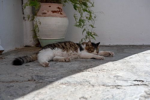 Un peu de sérénité grecque