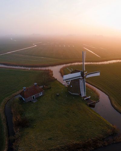 Nederlandse windmolen in mistig polderlandschap bij zonsopkomst