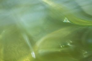 Stille Reflexionen
