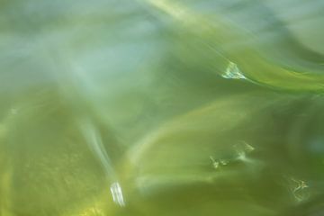 Réflexions silencieuses sur QEIMOY