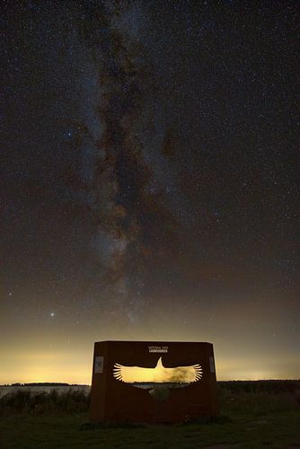Aigle dans la voie lactée sur Hannon Queiroz