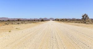 Woestijnpad in Namibië van Achim Prill