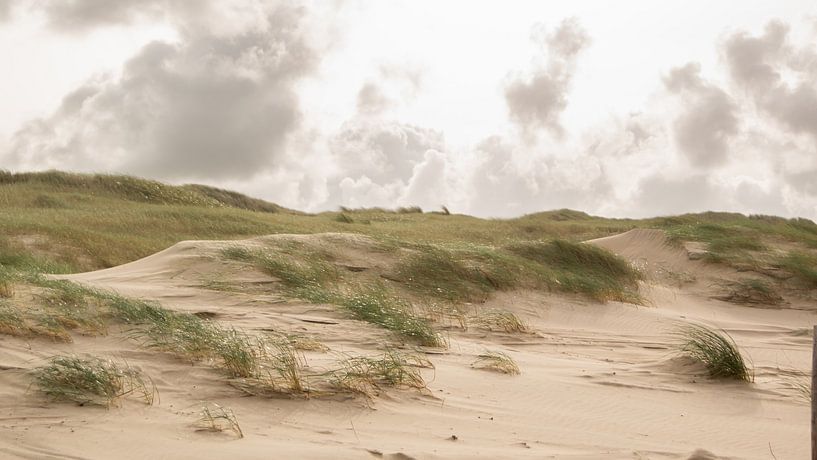 back to the dunes by Michelle Hovius